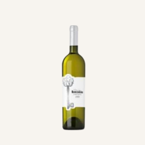 p1208(15).png