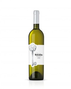 Pinot Gris 2023 Winnica Niemczańska