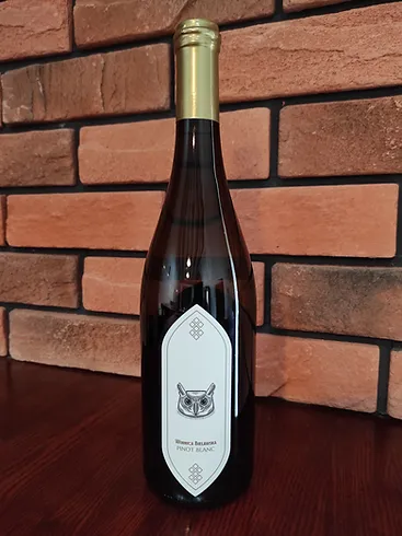 pinot blanc bielawa.webp